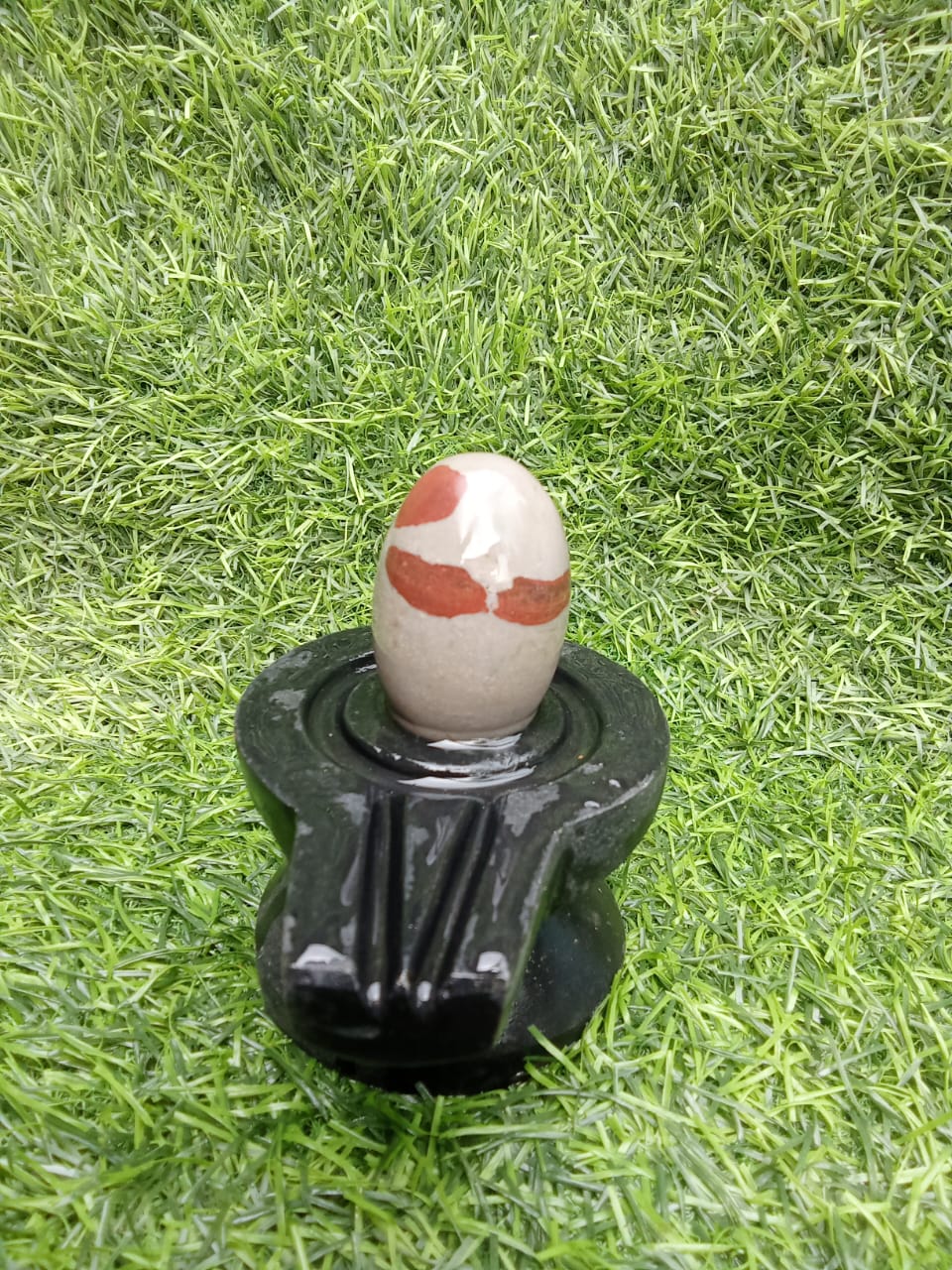 home narmadeshwar shivling