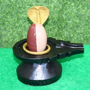 original ardhanarishwar narmadeshwar shivling full set 2 inch lingam 4 inch base
