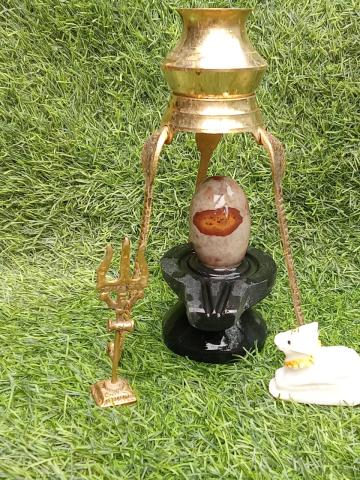 Tilakdhari Narmadeshwar Shivling