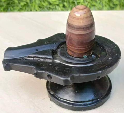 original narmadeshwar shivling