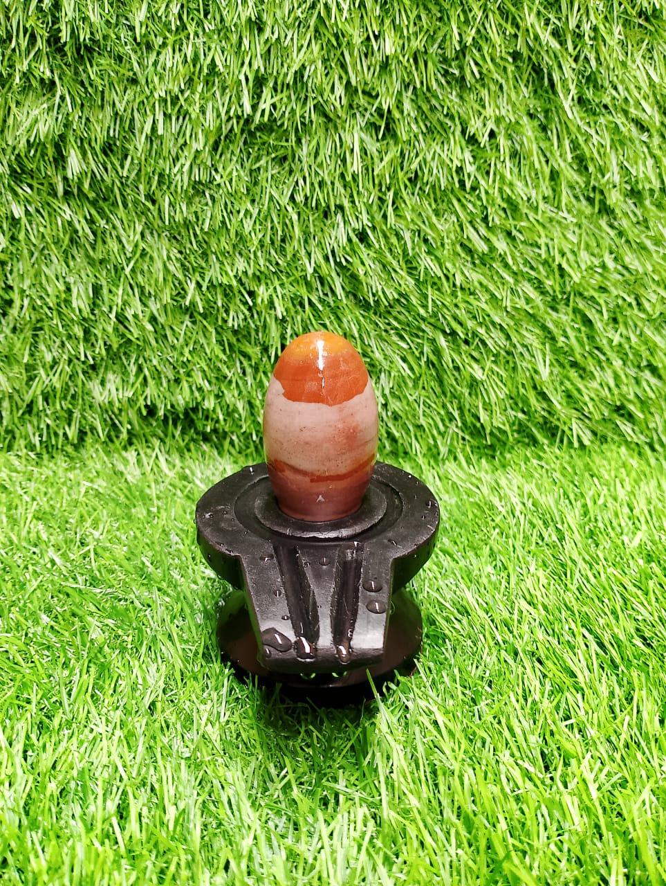 janeudhari narmadeshwar shivling