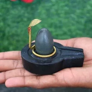1.5  inch narmadeshwar shivling or nag with plate bass for home pooja1.5  inch narmadeshwar shivling or nag with plate bass for home pooja