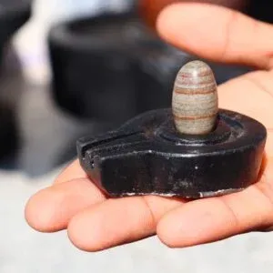 Janeudhari narmadeshwar shivling with bass for home pooja